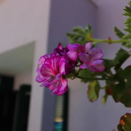 Lavanda Kor Ula - Five Bedroom With Pool And Sea View